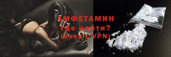 прущие грибы Абинск