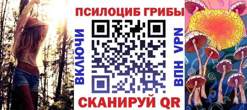 закладки  OMG рабочий сайт  Псилоцибиновые грибы ЛСД  Туринск 